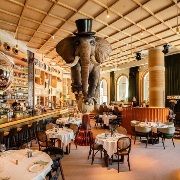 Dónde comer en Madrid